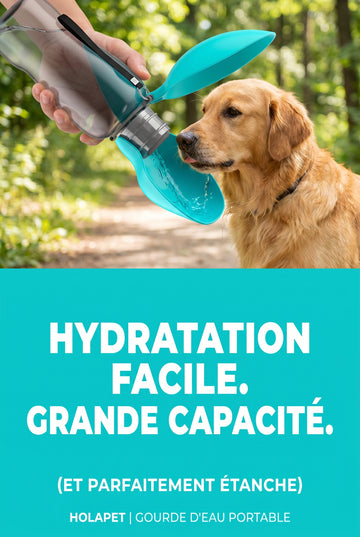 Gourde d’Eau Portable pour Chien – Distributeur de Voyage pour Petits, Moyens et Grands Chiens