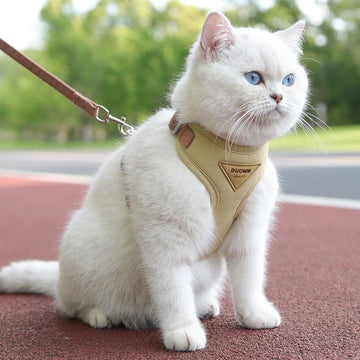 Harnais et Laisse pour Chat et Petit Chien — Respirant, Solide et Confortable pour Promenades Extérieures