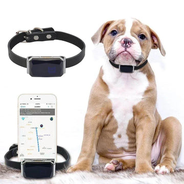 Collier GPS Étanche IP67 pour Chien et Chat avec WiFi et Lumière – Traceur Anti-Perte Intelligent et Localisateur en Temps Réel