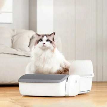 Litière Automatique Autonettoyante pour Chat avec Application Mobile – Bac Intelligent Anti-Odeur, Sécurité Anti-Pincement et Pelle Ultra-Fine 0,31″