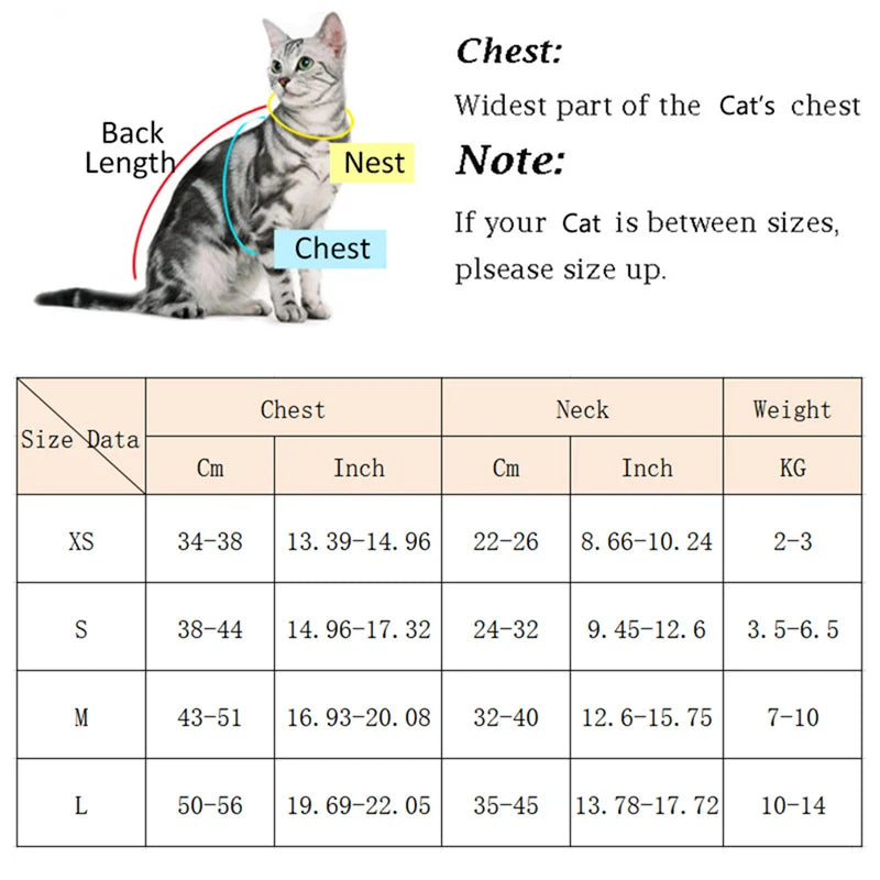 Harnais et Laisse pour Chat et Petit Chien — Respirant, Solide et Confortable pour Promenades Extérieures