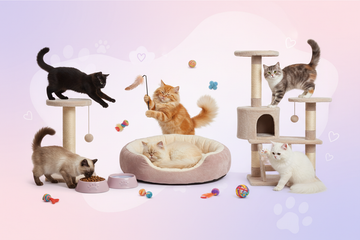 Cat Corner